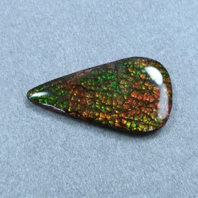 AMMOLITE Gemstone Cabochon : 19.00cts Natural Fossilized Shell Bi-Color Ammolite Pear Shape Cabochon 35*19mm (With Video)